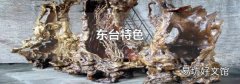 东台特色