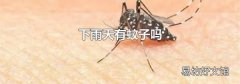 下雨天有蚊子吗