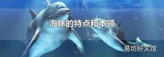 海豚的特点和本领