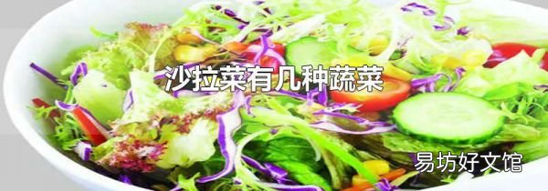 沙拉菜有几种蔬菜