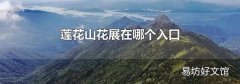 莲花山花展在哪个入口