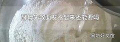 酵母失效面发不起来还能要吗