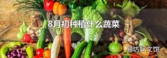 8月初种植什么蔬菜