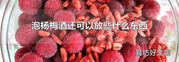 泡杨梅酒还可以放些什么东西