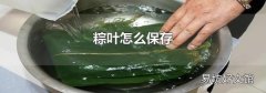 粽叶怎么保存