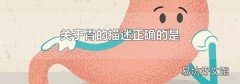 关于胃的描述正确的是