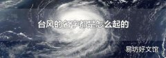 台风的名字都是怎么起的