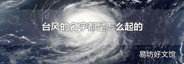 台风的名字都是怎么起的