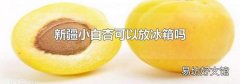 新疆小白杏可以放冰箱吗