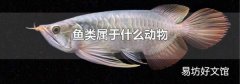 鱼类属于什么动物