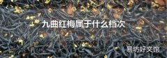 九曲红梅属于什么档次