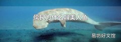 儒艮为什么叫美人鱼