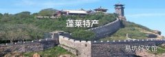 蓬莱特产