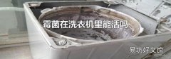 霉菌在洗衣机里能活吗