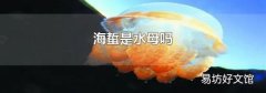海蜇是水母吗
