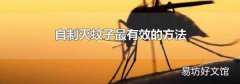 自制灭蚊子最有效的方法