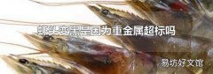 虾头变黑是因为重金属超标吗