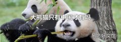 大熊猫只有中国才有吗
