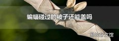 蝙蝠碰过的被子还能盖吗