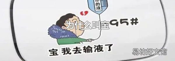 为什么叫宝