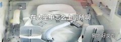 在太空中怎么上厕所啊