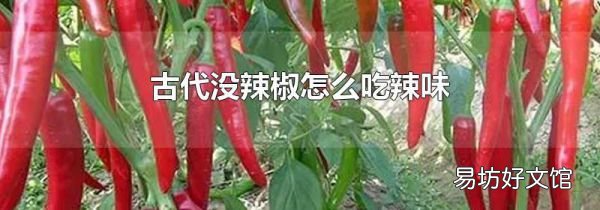 古代没辣椒怎么吃辣味