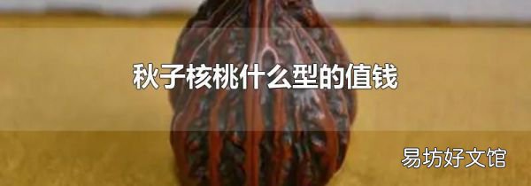秋子核桃什么型的值钱