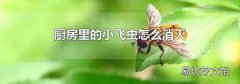 厨房里的小飞虫怎么消灭