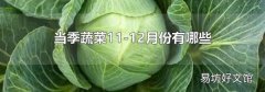 当季蔬菜11-12月份有哪些