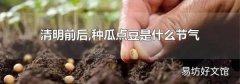 清明前后,种瓜点豆是什么节气