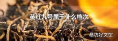 英红九号属于什么档次
