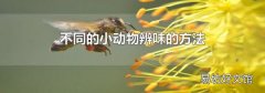 不同的小动物辨味的方法