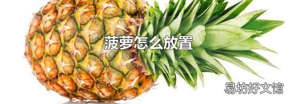 菠萝怎么放置