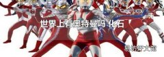 世界上有奥特曼吗 化石