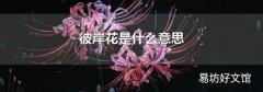 彼岸花是什么意思