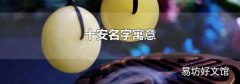 十安名字寓意
