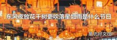 东风夜放花千树更吹落星如雨是什么节日