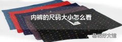 内裤的尺码大小怎么看