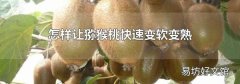 怎样让猕猴桃快速变软变熟