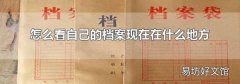 怎么看自己的档案现在在什么地方