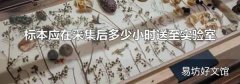 标本应在采集后多少小时送至实验室