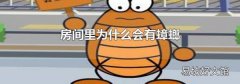 房间里为什么会有蟑螂