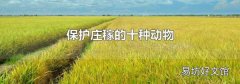 保护庄稼的十种动物