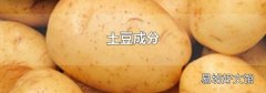 土豆成分