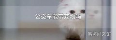 公交车能带宠物吗