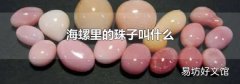 海螺里的珠子叫什么