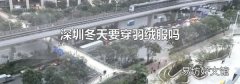 深圳冬天要穿羽绒服吗