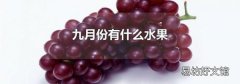 九月份有什么水果