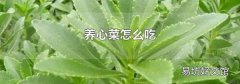 养心菜怎么吃