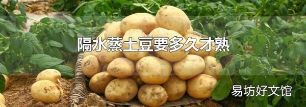 隔水蒸土豆要多久才熟